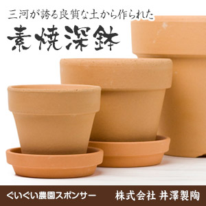 井澤製陶｜植木鉢