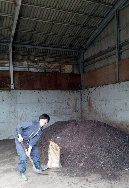 土起こしの鶏糞