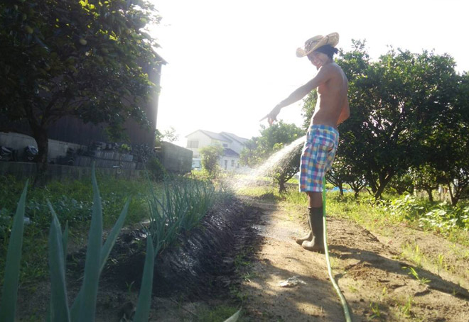 ねぎの水やり！