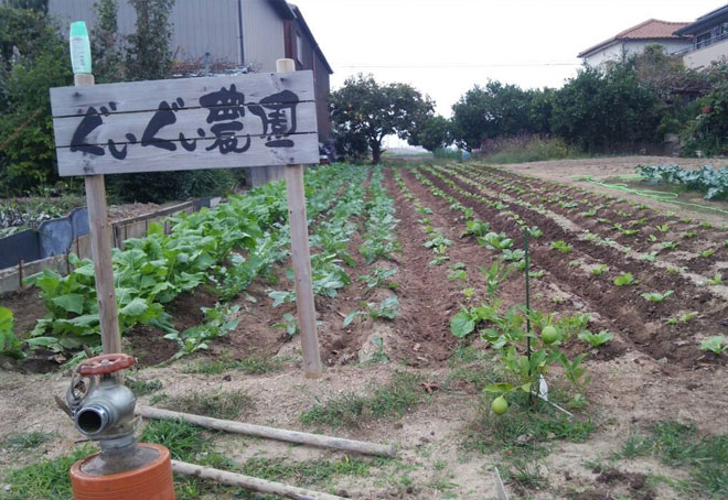 碧南のぐいぐい農園