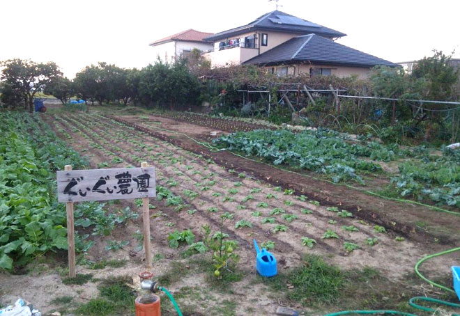 碧南のぐいぐい農園