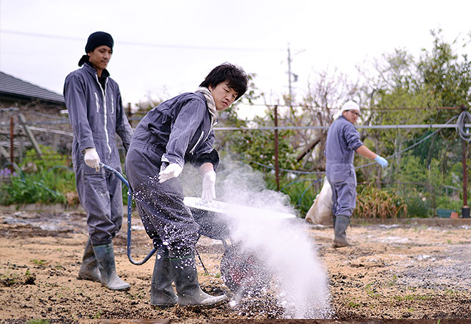 石灰も撒く