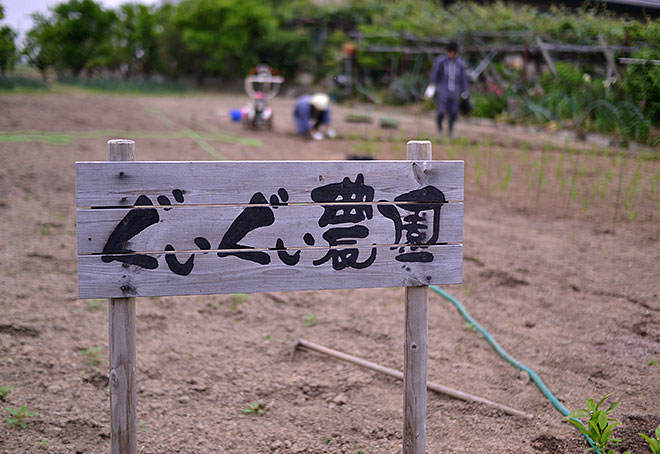 ぐいぐい農園