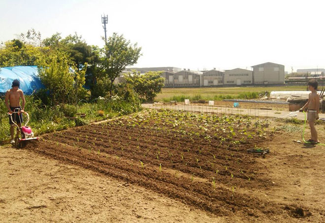 苗植えつけ完了