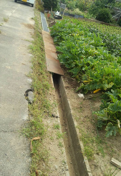 排水路掃除2