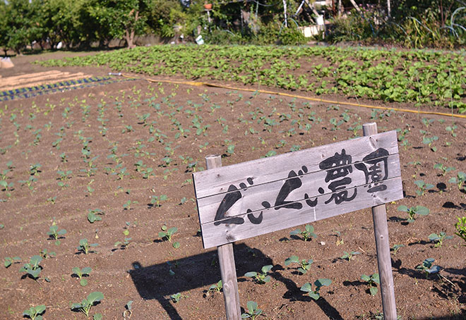 ぐいぐい農園