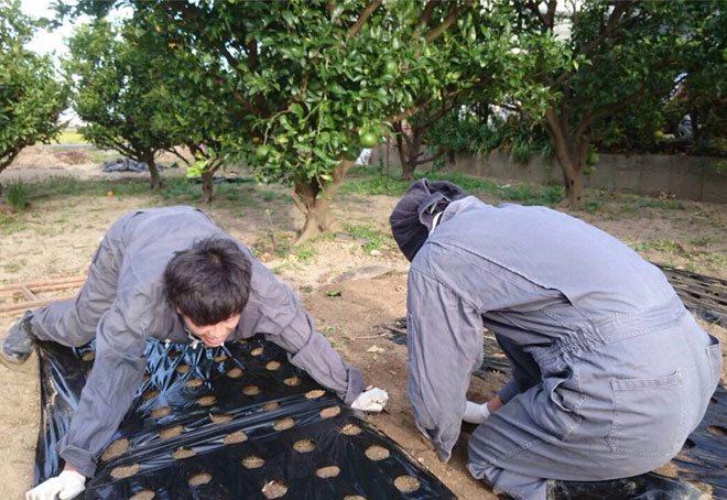 もうちょっとだ頑張れ！