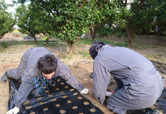もうちょっとだ頑張れ!