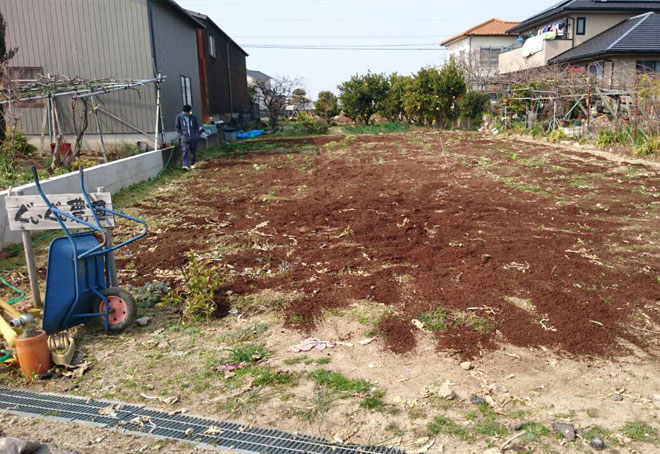 畑に手分けして牛糞をまく