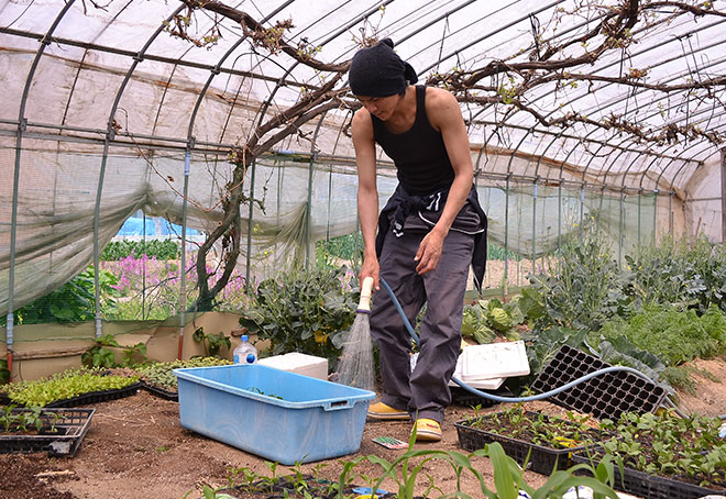 移植完了した苗に水をたっぷりあげます。